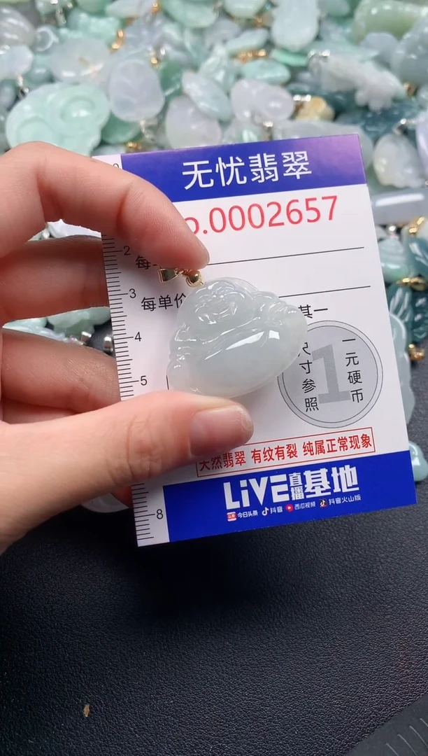 吊坠(不含链)未镶嵌翡翠2657