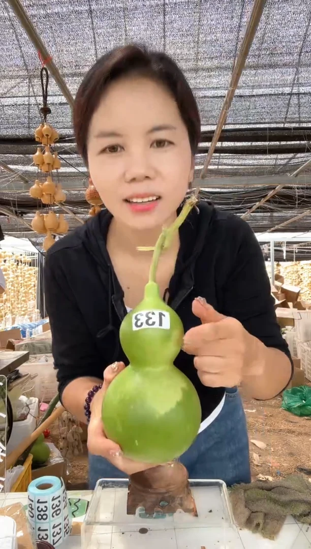 133天然葫芦摆件 一物一拍龙头不保售后