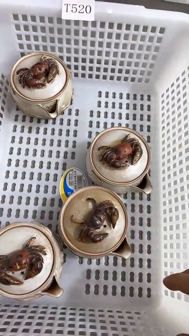 瓷片T520陶瓷茶具茶器