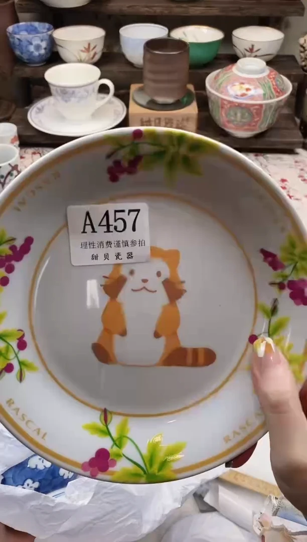 瓷片                A457