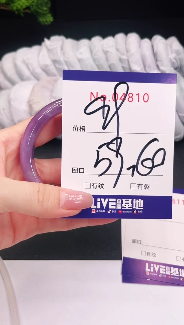 未镶嵌手镯翡翠4810