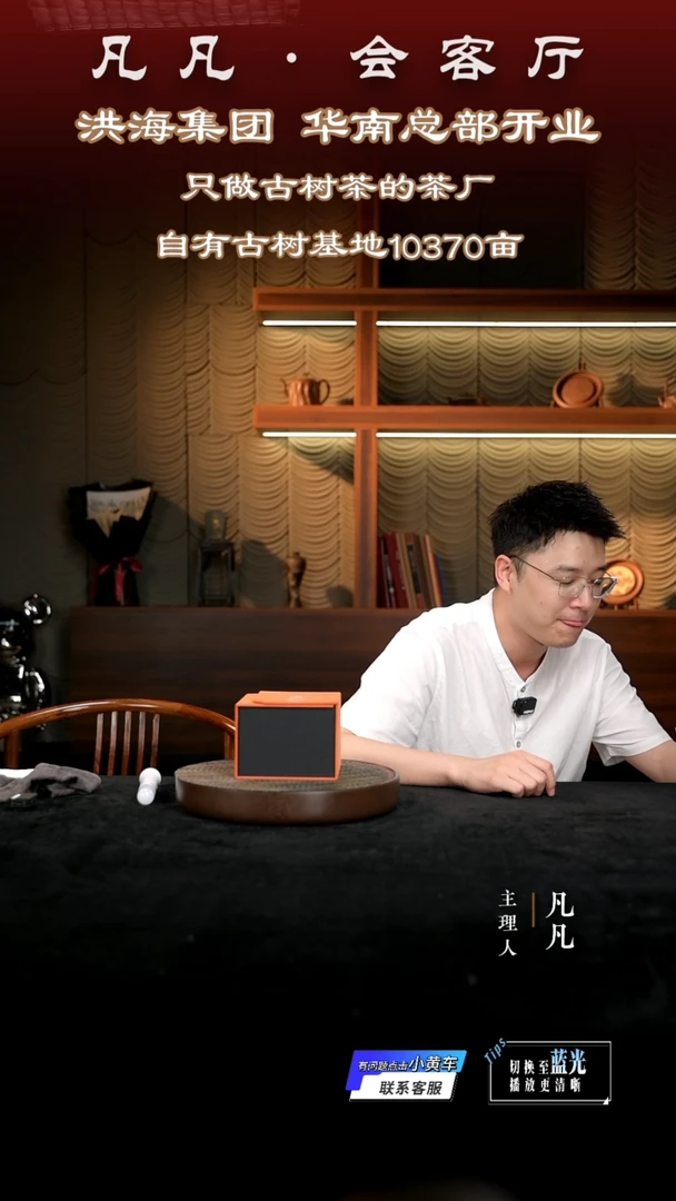 茶壶紫砂凡凡会客厅 紫砂壶03