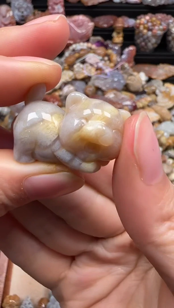 【闪购商品】硅化珊瑚（珊瑚玉）颈饰未镶嵌158