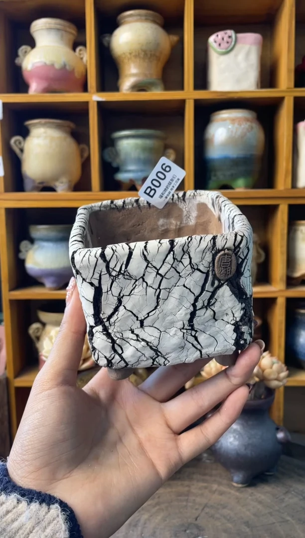 006内口8【多肉花盆多肉盆】