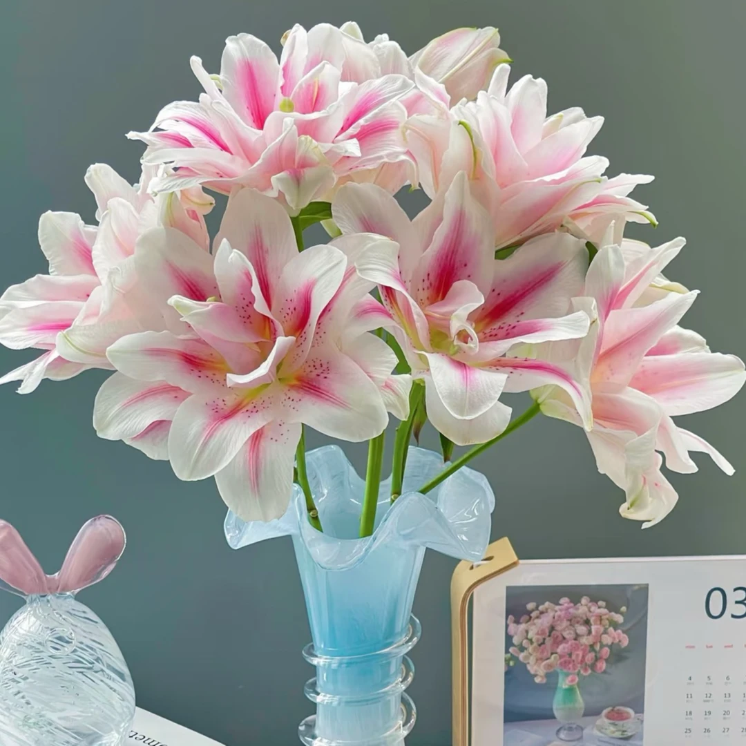 花千氧【火星之约】重瓣百合装饰点缀节日送礼家居摆件花材鲜切花