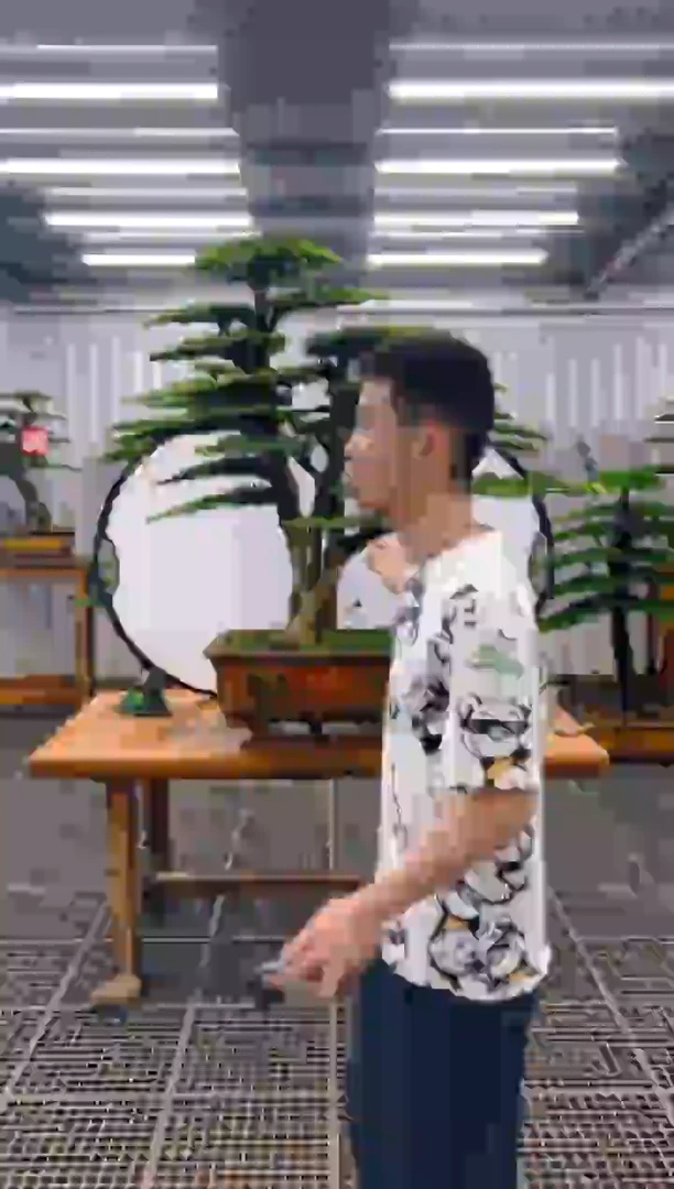无花朵w*精品盆景直播间一物一拍