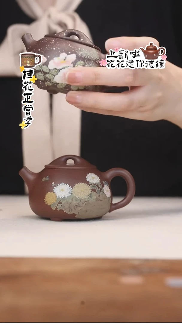 茶壶紫砂全手工紫泥菊花石瓢