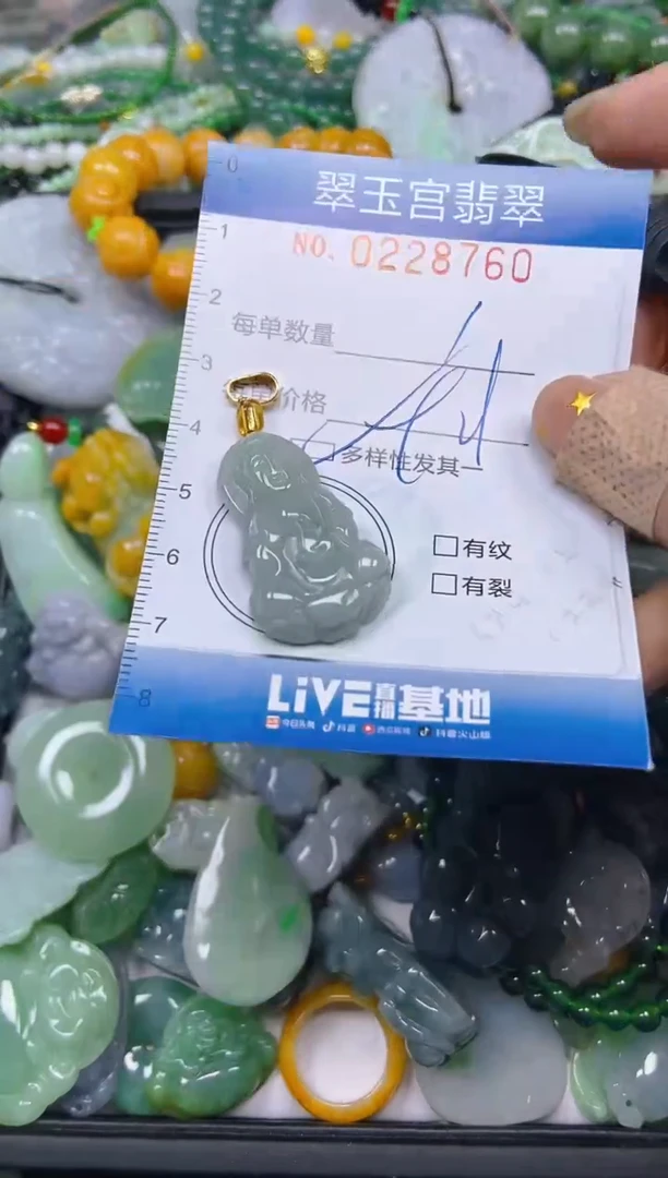 颈饰未镶嵌翡翠闪购C0228760多样性发其一