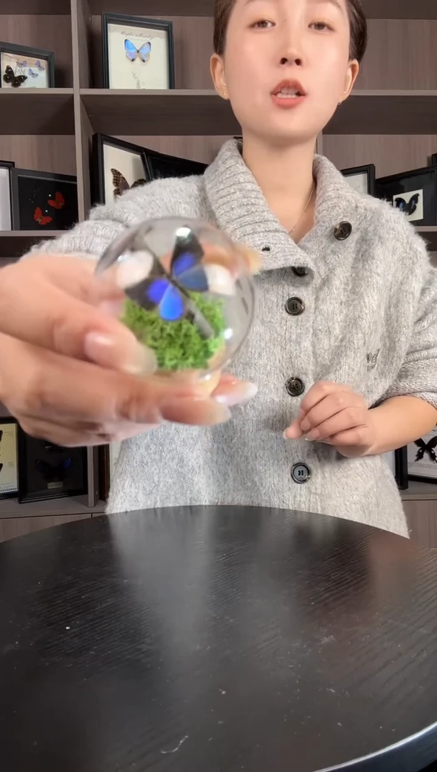 实木竖款雅灰蝶（蝴蝶玻璃球框）