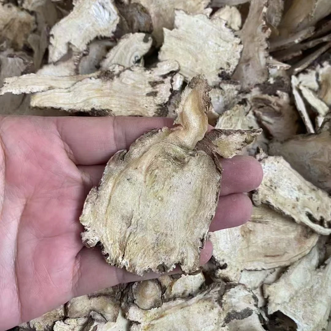 当归头切片严选无硫可用于泡水煲汤传统滋补食材半斤包邮甘肃岷县