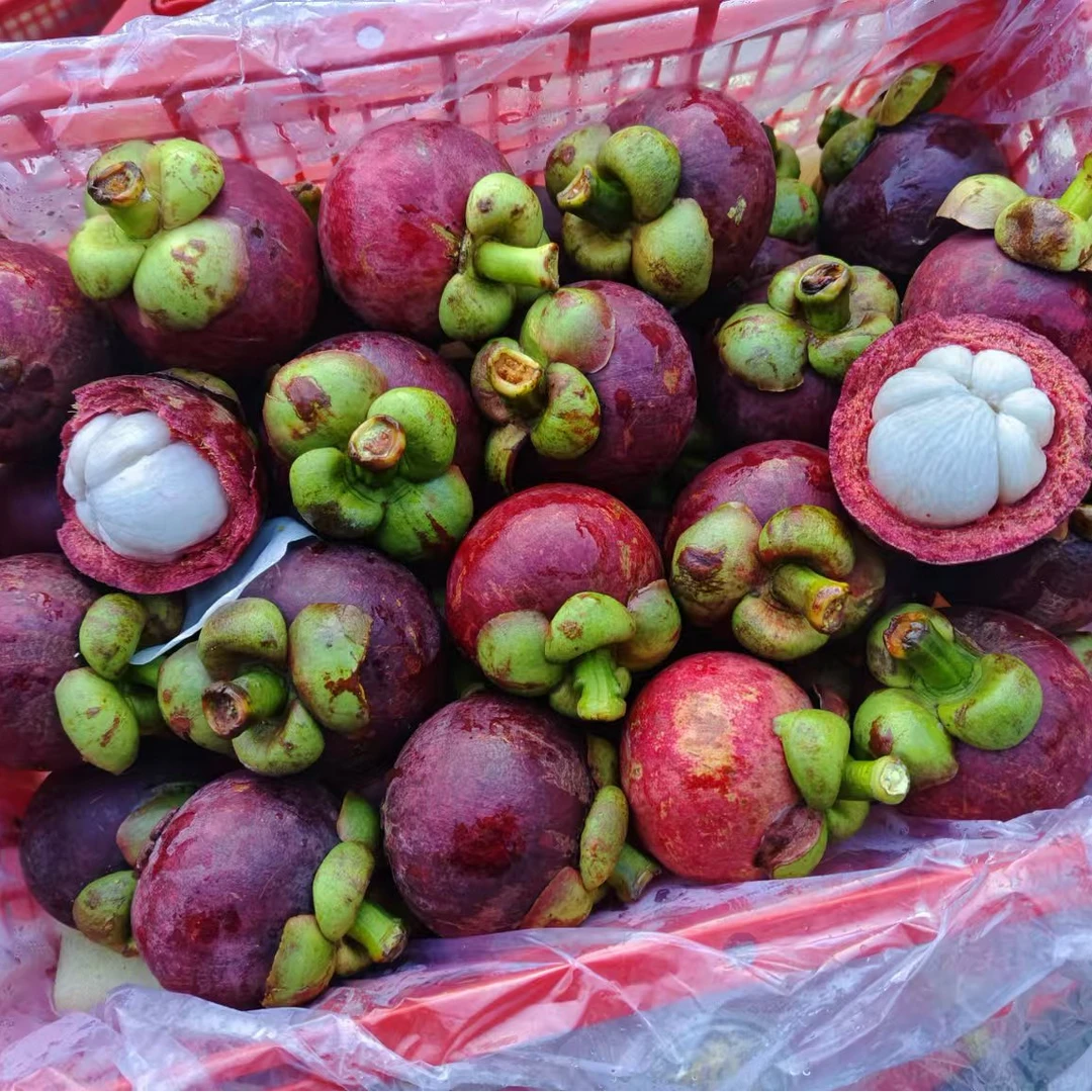 【散装】【Z】【好吃的山竹】（份/3斤左右）