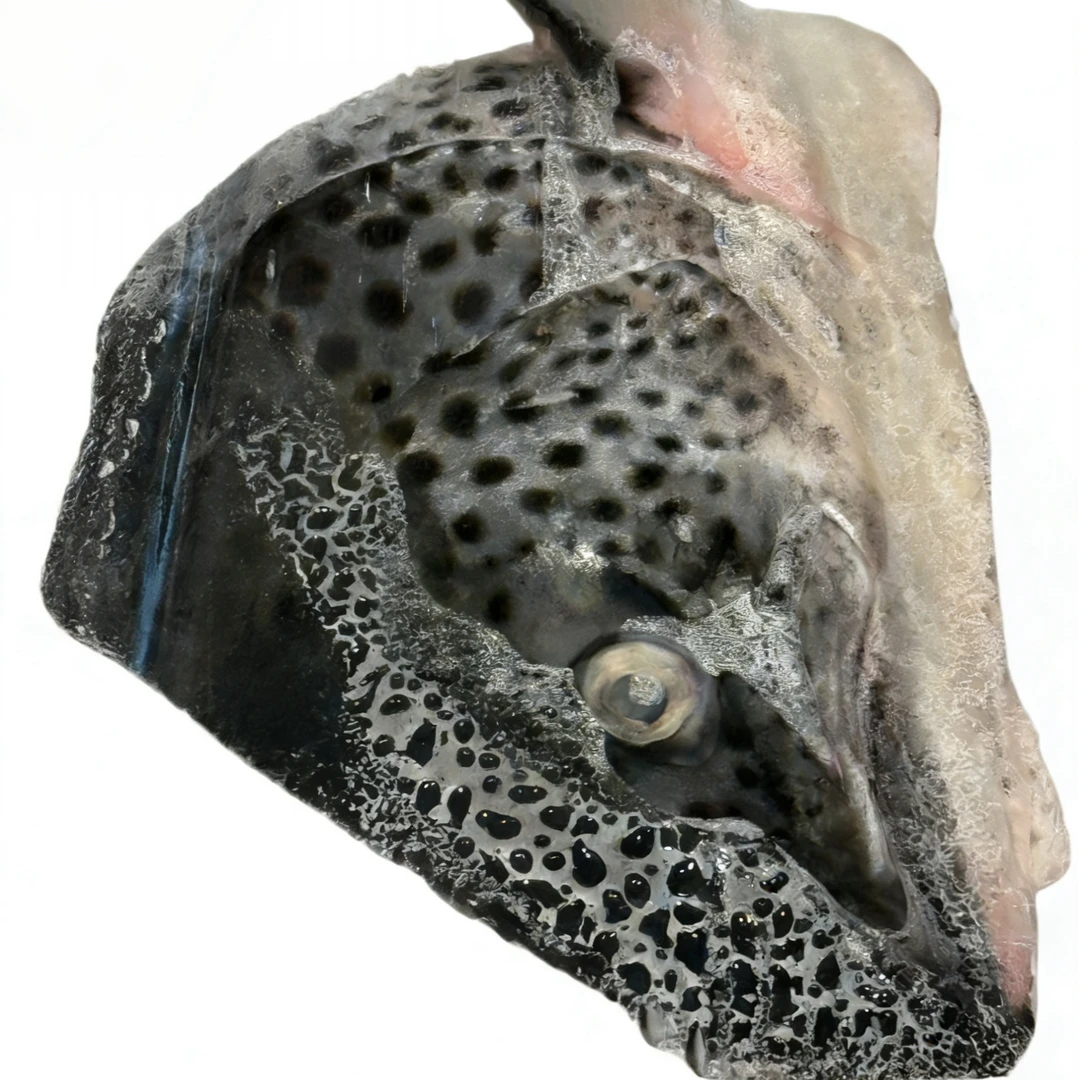 冻三文鱼头 280g-300g