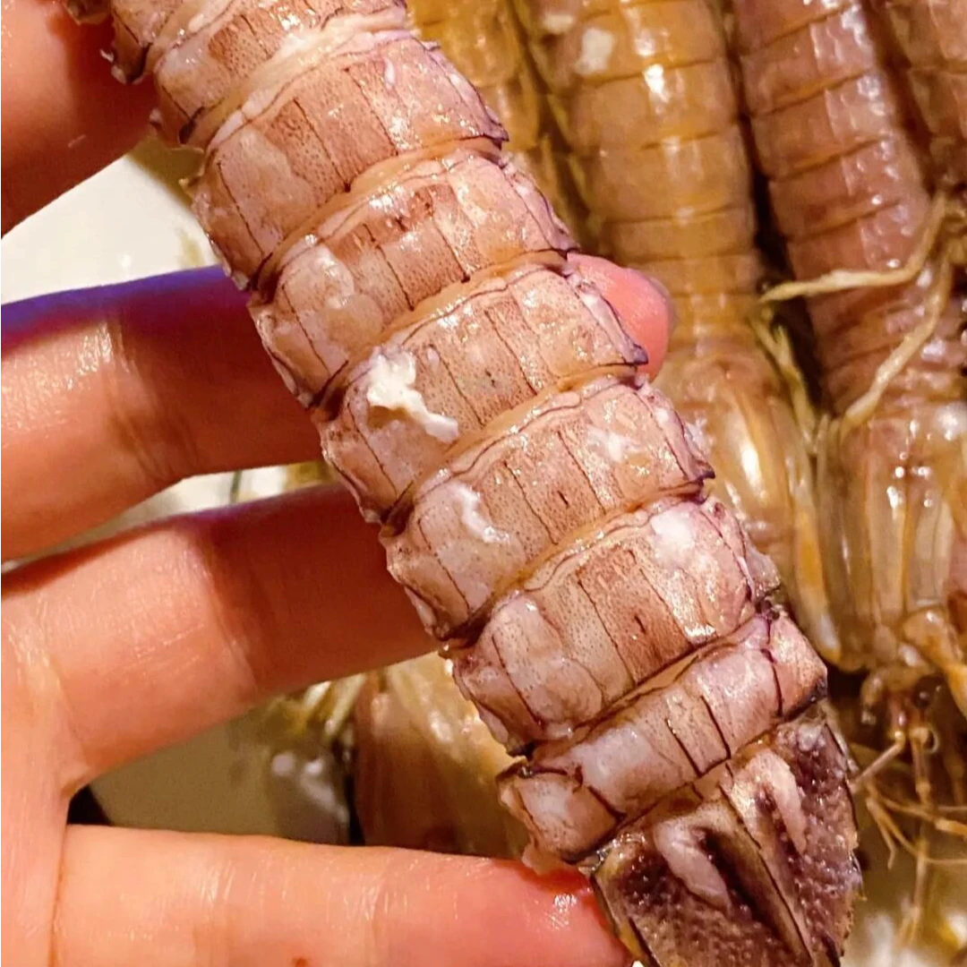 皮皮虾包肥中号虾婆虾蛄冷冻濑尿虾富贵虾非即食海鲜水产大虾C