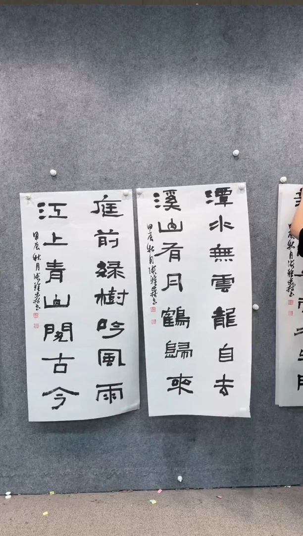 【闪购商品】书法pmw不二轩旗舰店书法ZYS14