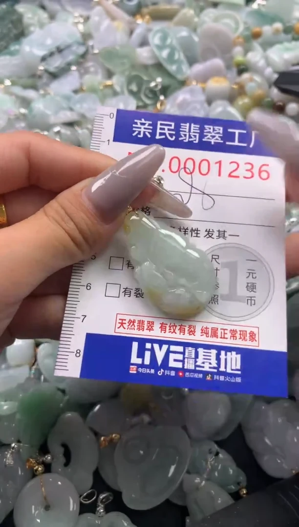 颈饰未镶嵌翡翠1236