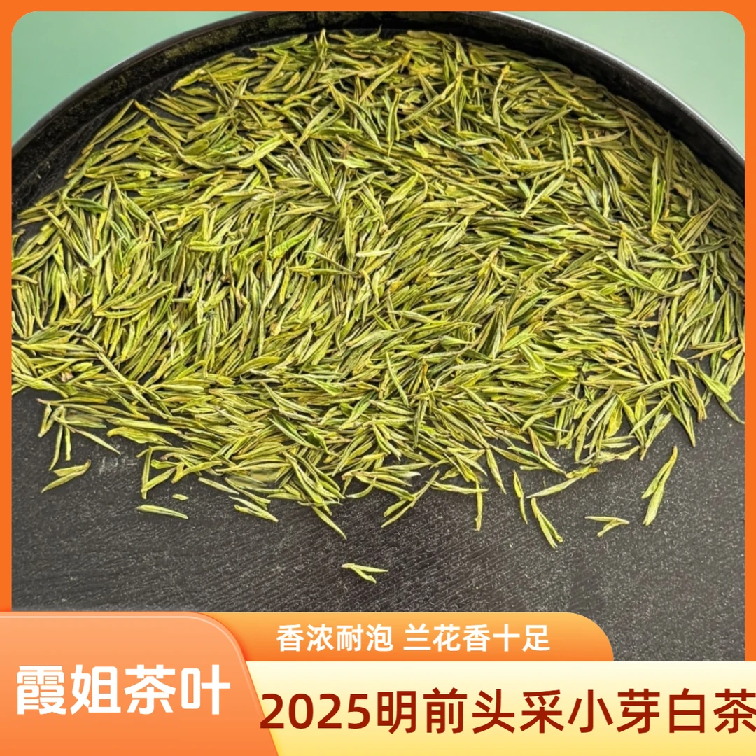 【霞姐】（B-46）2025年明前高山白茶