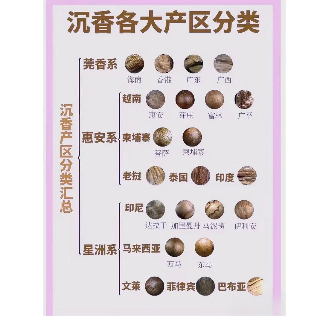 沉香蚁王--精选好物文创A03