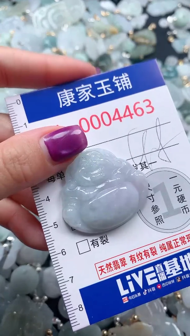颈饰未镶嵌翡翠4463
