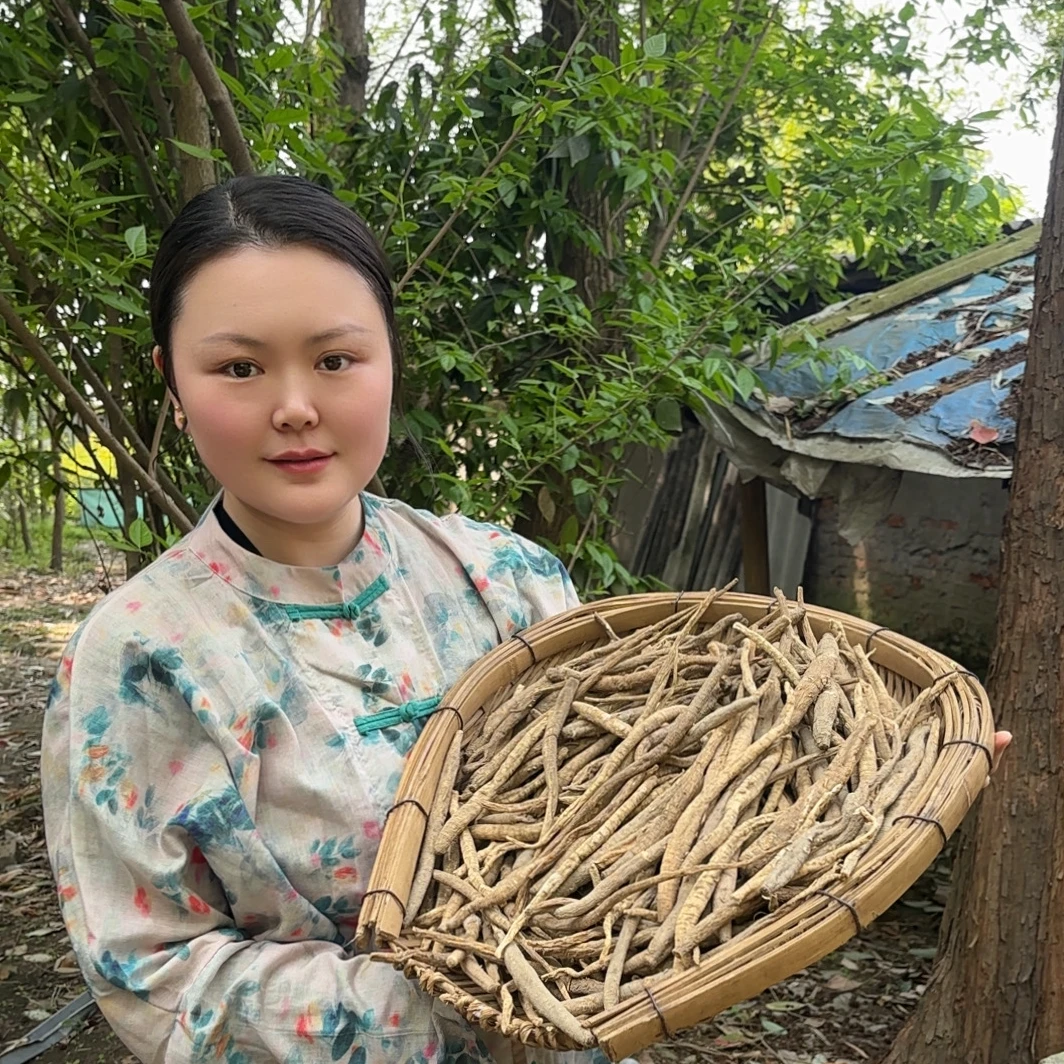 现收阿坝 藏民土货当归 炖汤炖鸡 煮水 煮鸡蛋 炖猪蹄炖排骨很香