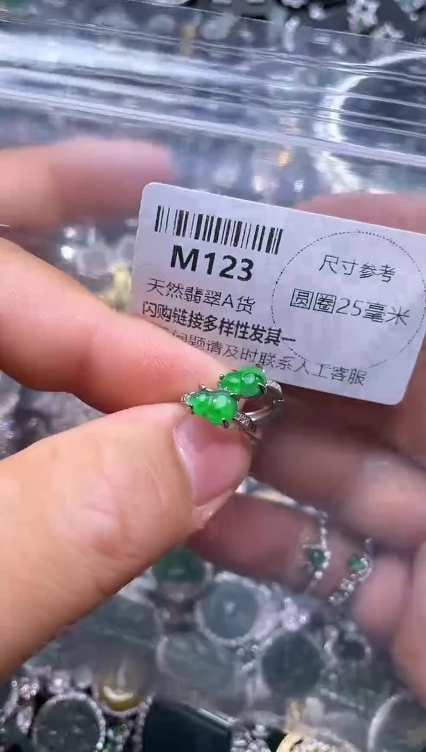 【闪购商品】翡翠颈饰未镶嵌M123耳扣