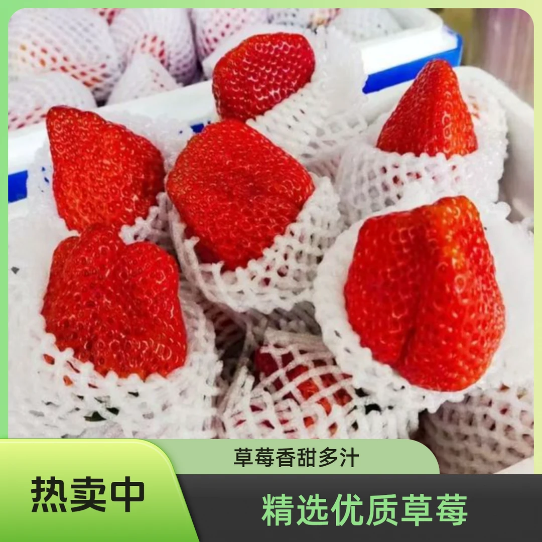 【丹东奶霸草莓】丹东马家岗奶霸草莓750g99草莓中国大陆