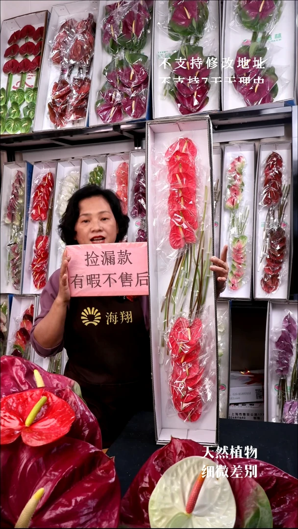 完全开放卡利博16支微瑕无售后款