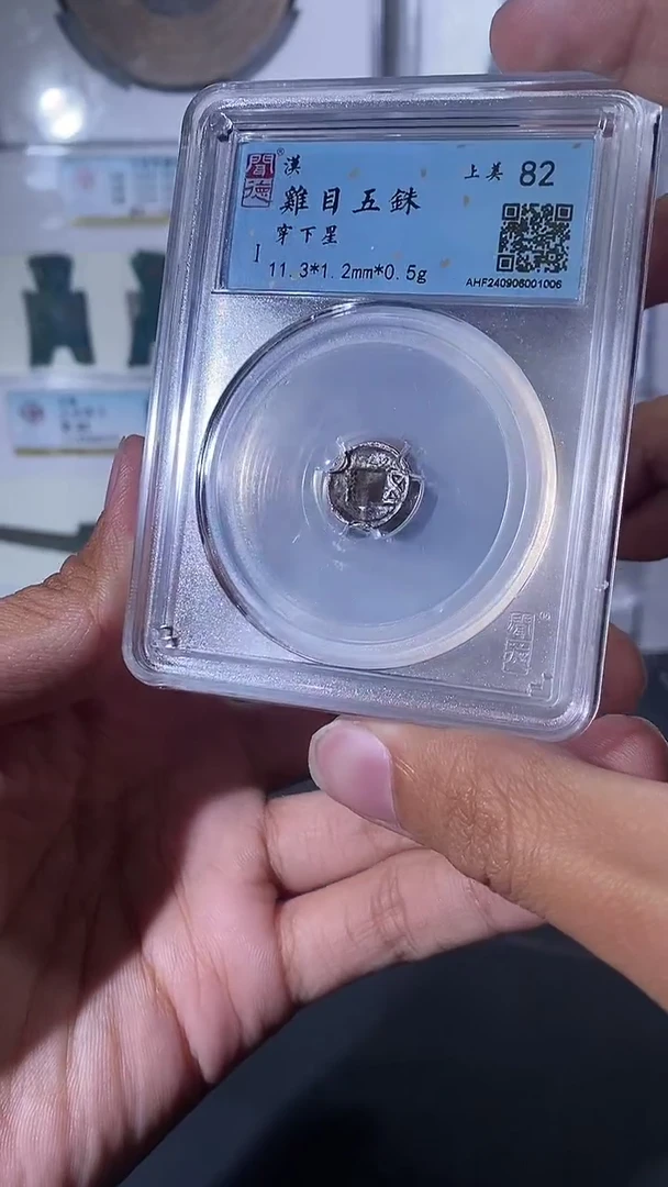 【闪购商品】铜琪珍鸡目五铢一枚