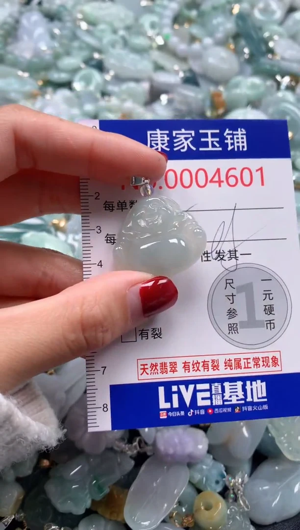 颈饰未镶嵌翡翠4601