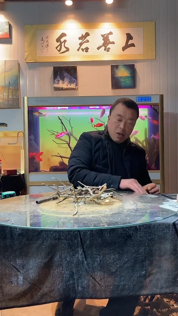 165号天然黄栎木一组适合30-40缸