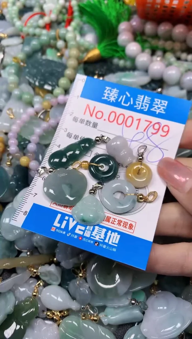 【闪购商品】翡翠颈饰未镶嵌含绳0001799