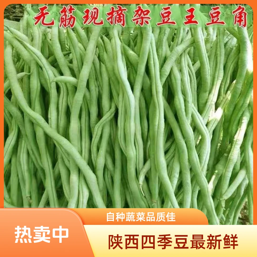 陕西农家自种新鲜无筋豆四季豆架豆王豆角蔬菜