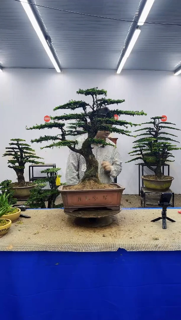 完全开放一物一拍，所见即所得