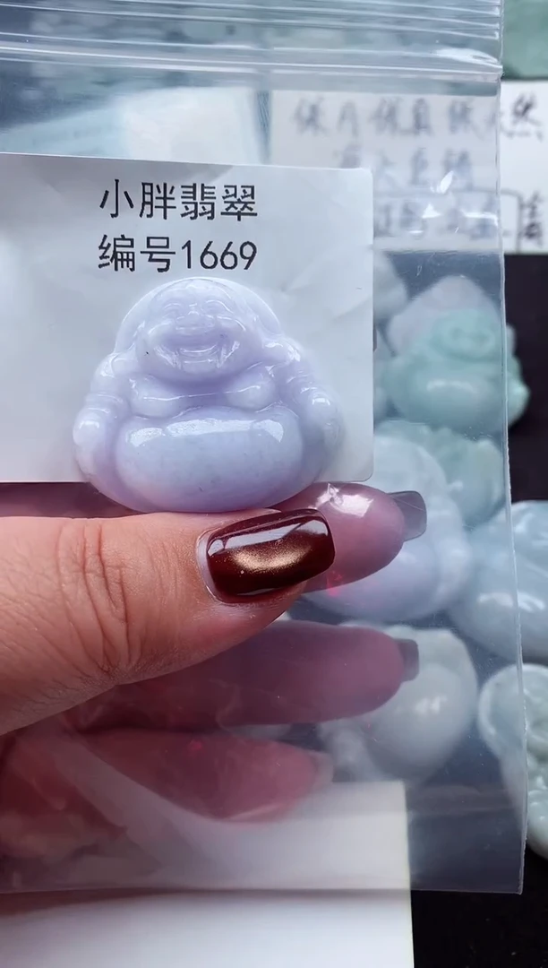 颈饰未镶嵌翡翠缅甸天然A货翡翠1669