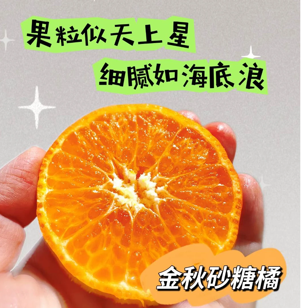 金秋砂糖橘果园直发新鲜水果当季砂糖橘新鲜时令水果