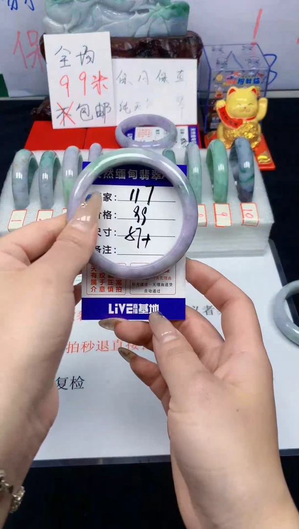 未镶嵌手镯翡翠117