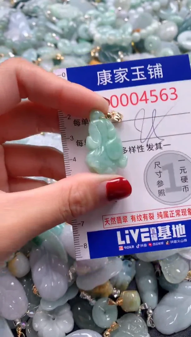 颈饰未镶嵌翡翠4563