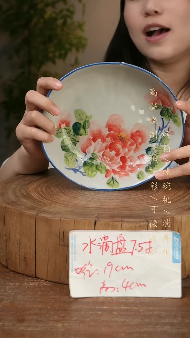 碗瓷景德镇手工手绘高温瓷釉下彩