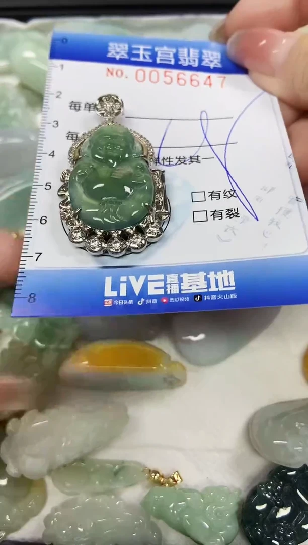 【闪购商品】翡翠颈饰未镶嵌闪购商品0056647