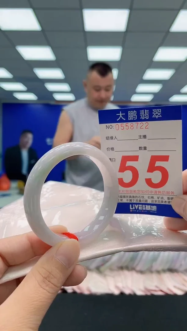 未镶嵌手镯翡翠AAAAAAAAA
