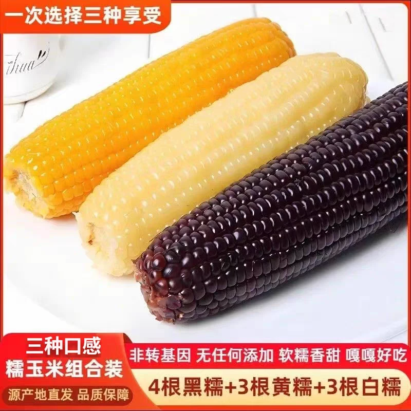 东北三色粘玉米组合装280-350克/根黑白黄混装真空锁鲜8根装