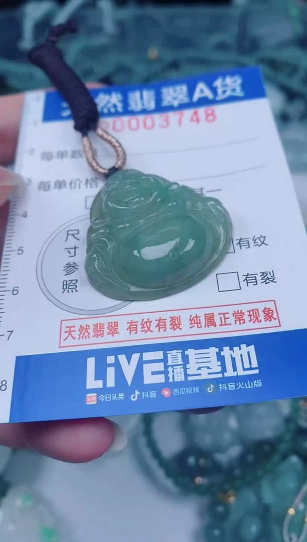 颈饰未镶嵌翡翠00003748