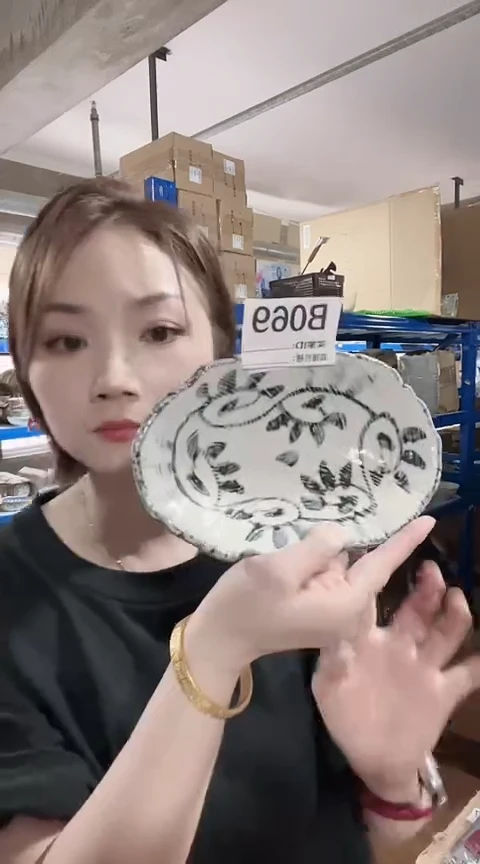 瓷片日本进口瓷器章鱼唐草18cm云盘B069