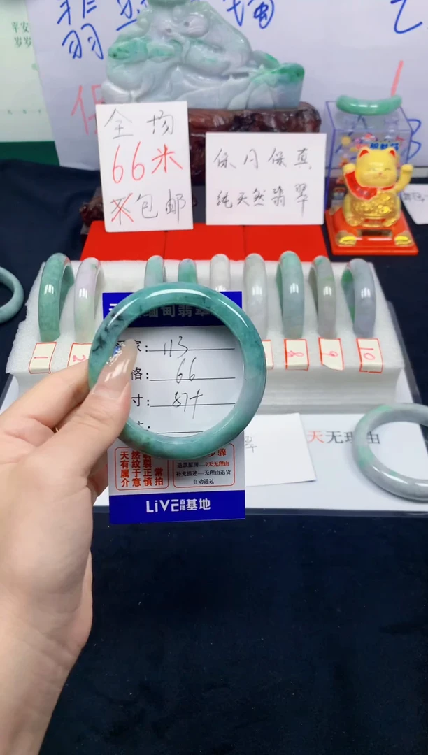 未镶嵌手镯翡翠113