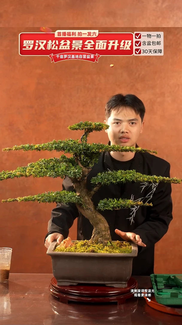 无花朵0000000000000000