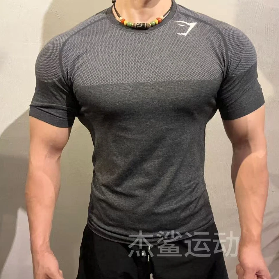 主推GYM鲨鱼幻影四代运动健身无缝V4显身材修身弹性速干小标短袖