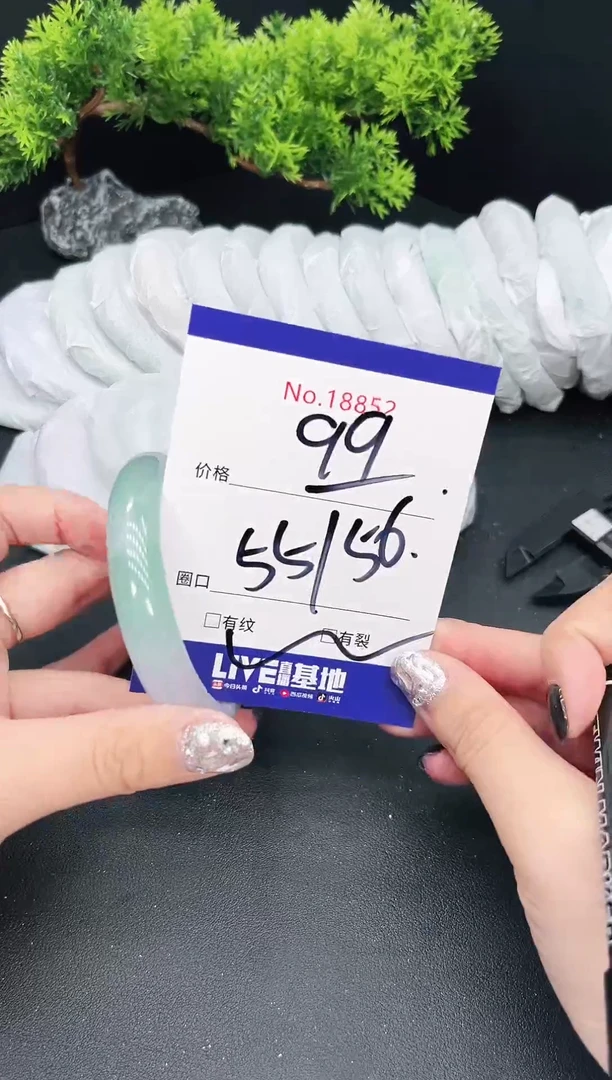 未镶嵌手镯翡翠18852