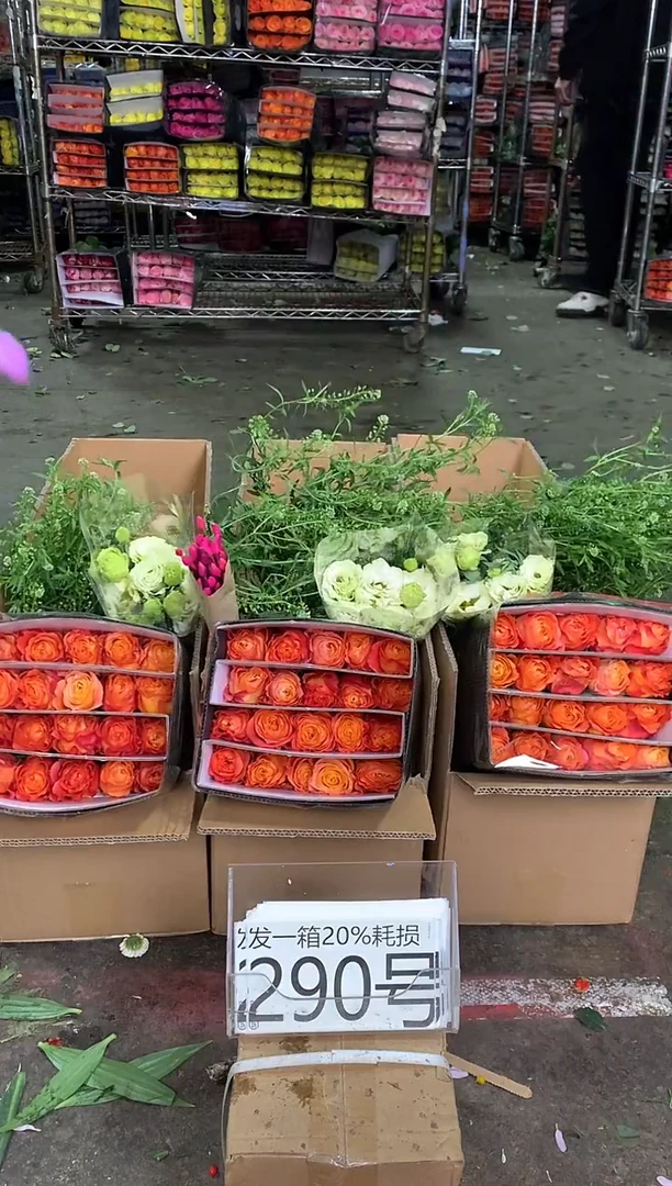 290号♥中通含20%耗损发一箱鲜花