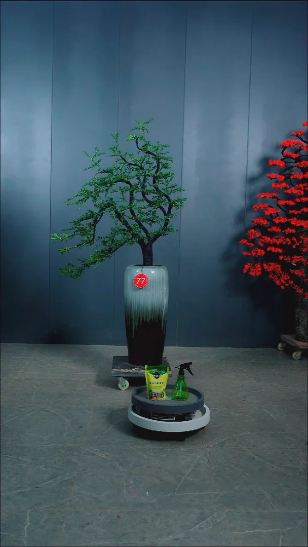 无花朵欢*77广东小叶紫檀