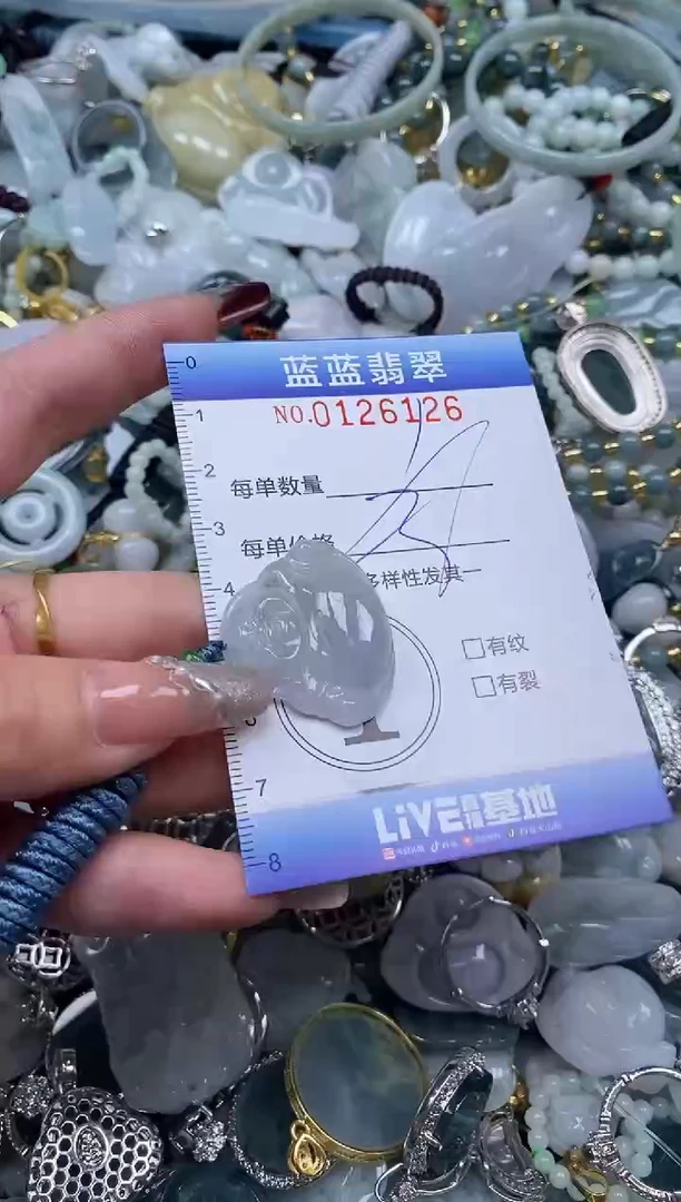 【闪购商品】翡翠颈饰未镶嵌闪购0126126多样性发其一