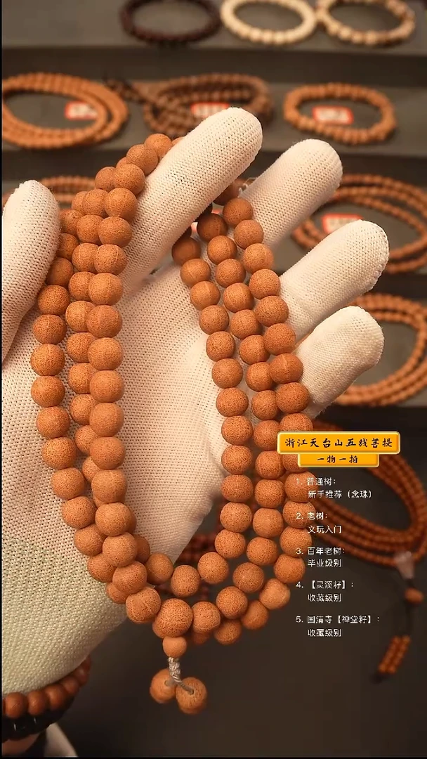 吊坠五线菩提y脖挂